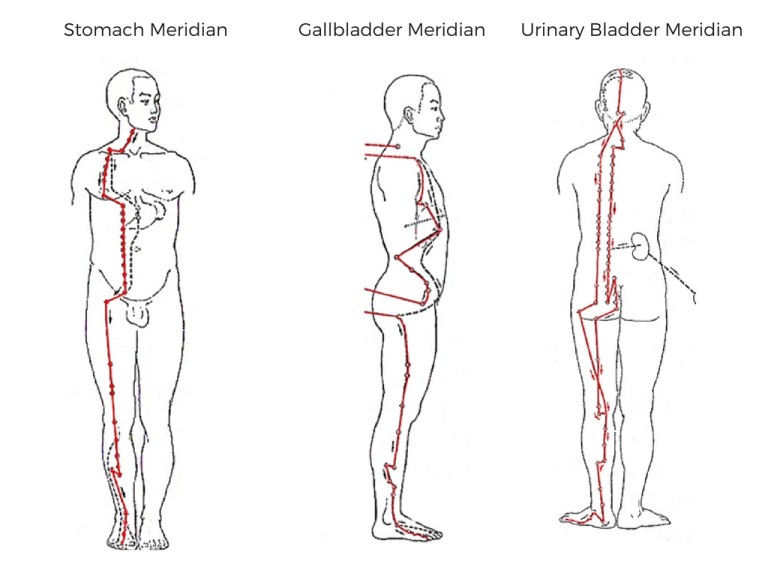 Meridians webcam. Stomach Meridian. Меридиан нима. Опоясывающий Меридиан. Меридиан Артем.